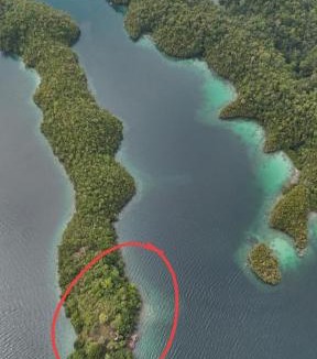 Sawinggrai House | Shandy Sea