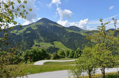 Soell House | Single room, shower, toilet, balcony, short breakfast - Gasthof Gruberhof
