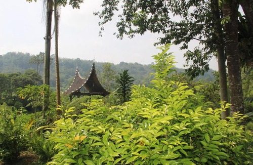 Agam Resort | SUMATRA ECORESORT