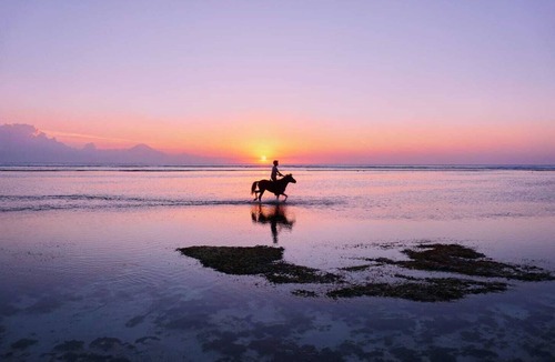 Gili Trawangan Villa | Sunflower Villa