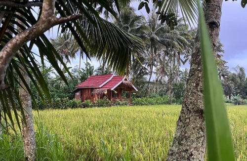 Tetebatu House | Syaqila Homestay Lombok