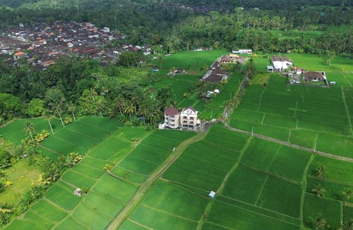 Taro Hotel | The Alugara Suite & Spa
