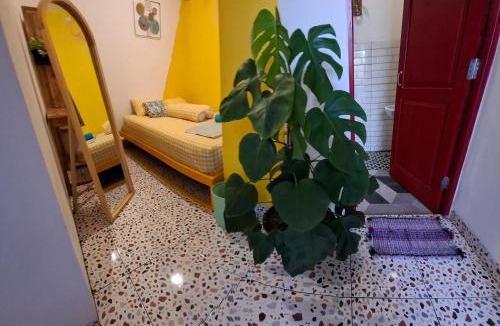 Prawirotaman Hostel | The Backyard Hostel