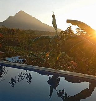 Kintamani Bed & Breakfast | The Bunut Villas