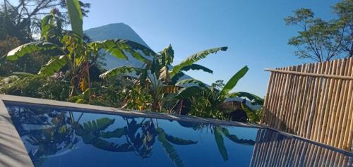 Kintamani Bed & Breakfast | The Bunut Villas