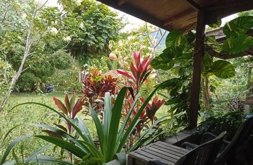 Ketambe Bed & Breakfast | Thousand hills peaceful bungalows and expert jungle treks