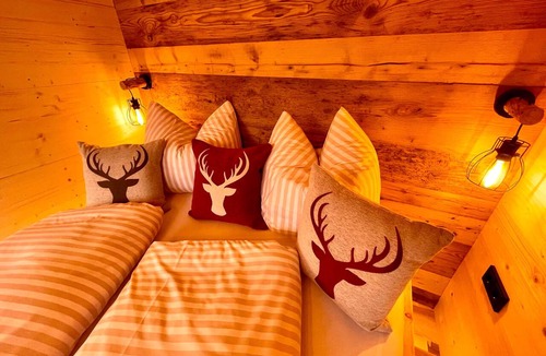 Ehenbichl Apartment | Tinyhouse - Alpenapart Singer