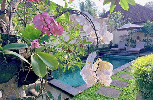 Penestanan Apartment | Tranquil house with balinese atmosphere