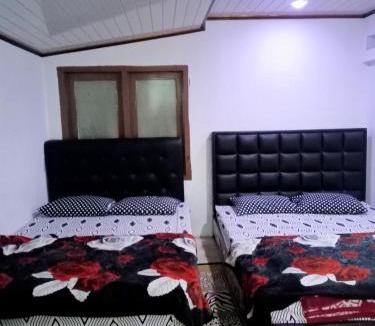 Dieng House | Tulip Syariah 1