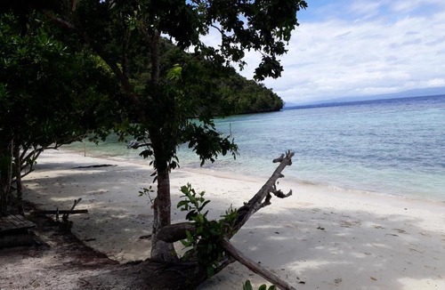 Kri House | Turtle Dive Homestay