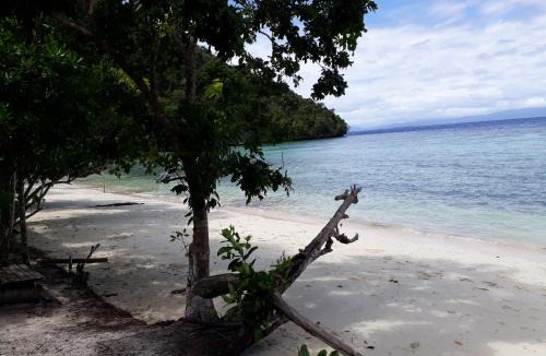 Kri House | Turtle Dive Homestay