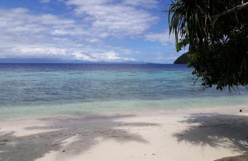 Kri House | Turtle Dive Homestay