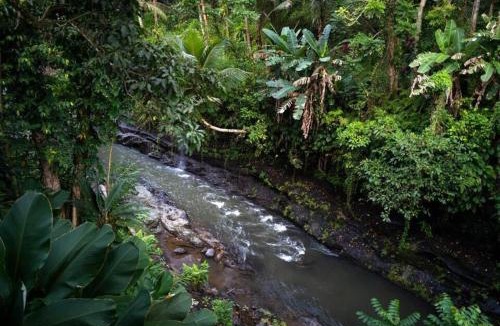 Nyuh Kuning House | Ubud zen river house, secluded tranquil retreat in nature