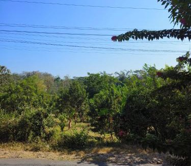 Pati House | Villa East Muria