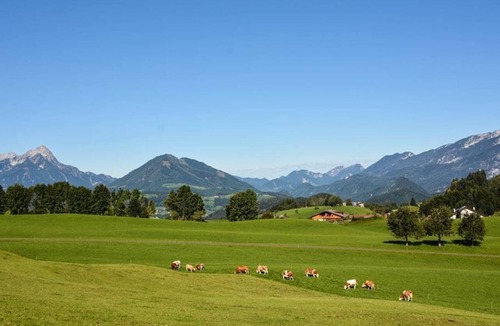 Spital am Pyhrn House | Vogerlgsang, 1 bedroom, 1 living room, shower, toilet - Almhof Unterranner