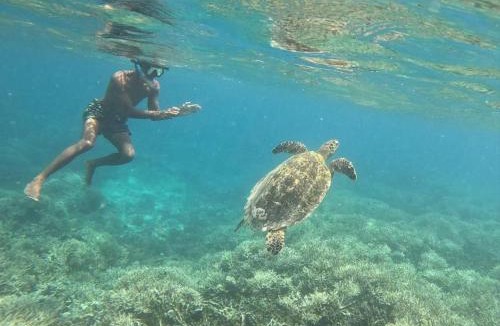 Gili Gede House | Waru Homestay Gili Gede