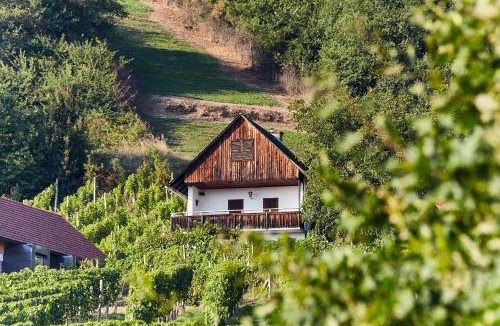 Kloech Cabin | Weinberg Lodge - Kellerstöckl