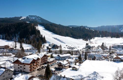 Russbach am Pass Gschuett Apartment | Wellness- und Familienhotel Garni Dachsteinresort