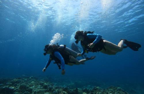 Gili Trawangan Hotel | Zero to Hero Dive Hotel