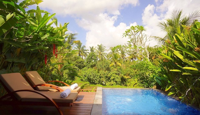 1BR Private Pool Villa, 10 Minutes To Central Ubud! 5min Drive To Monkey Forest!