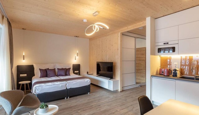 Apartment, shower, toilet, 1 bedroom - Artmur Apartmenthaus in Sankt Lorenzen ob Murau