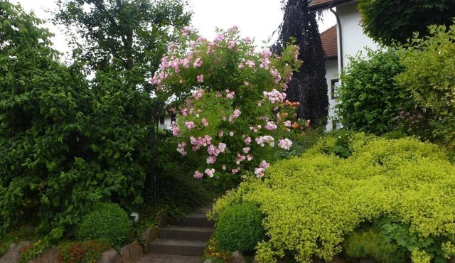 Apartment Erwin Ortmann - Apartment with 2 bedrooms in Hilders