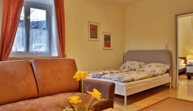 Apartment ground floor No. 1 - house Pleterski in Obervellach