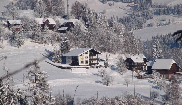 Apartment in Afritz near Ski Slopes in Afritz am See