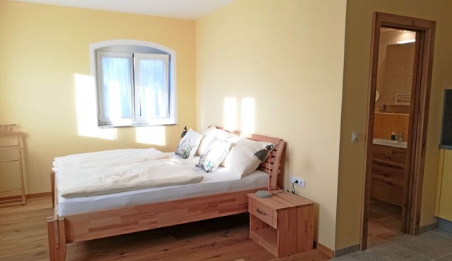 Apartment with kitchenette and shower with rain shower head in Maria-Lanzendorf
