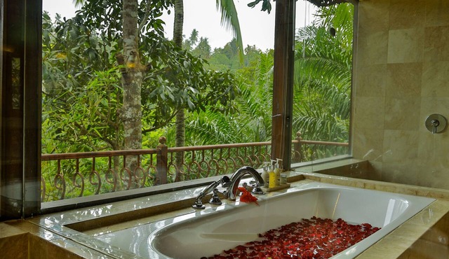 Ayung Resort Ubud