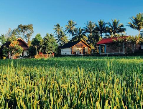 Bale Tetebatu in Tetebatu