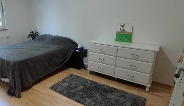 Beautiful Large Apartment in Leibnitz center in Leibnitz