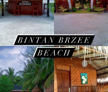 Bintan Brzee Beach in Island Bintan - Bungalow 3 in Berakit