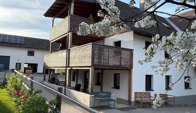 Biohof Auinger - the animal experience farm in Aurach am Hongar