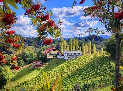 Boutique Hotel Toso Genussreich in Leutschach