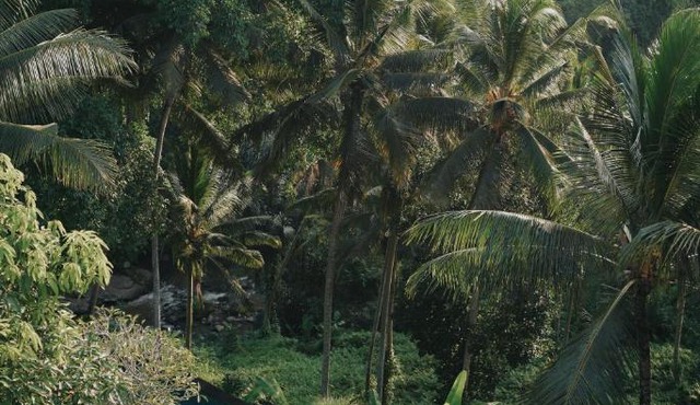 Bucu View Resort