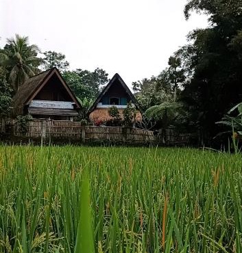 Bulan bungalows and kafe in Tetebatu