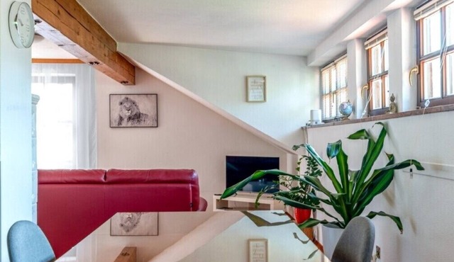 Centrally but quietly located apartment Sisipark with 2 balconies in Bad Ischl