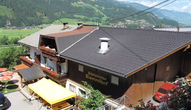 Cosy apartment in villa for 7 people with WIFI, TV and terrace in Mitterdorf