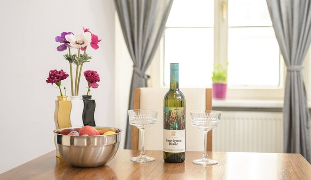 Cozy 1 bedroom apartment in Innere Stadt Vienna in Vienna