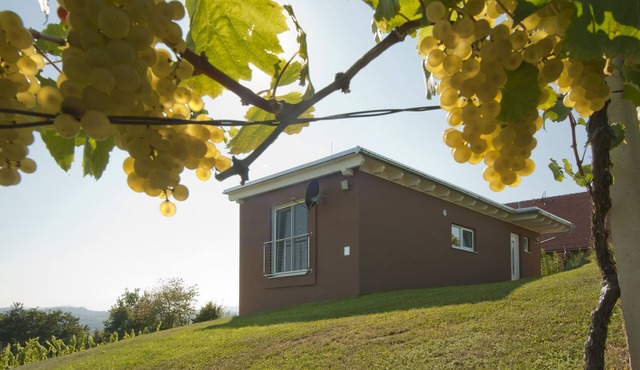 "das nussberg" holiday home in the vineyard in Fehring