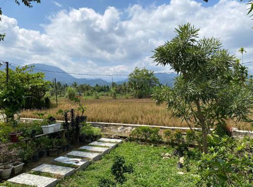 Djojo Bungalow - Jungle Trekking & Transportation - BUKIT LAWANG - NORTH SUMATERA
