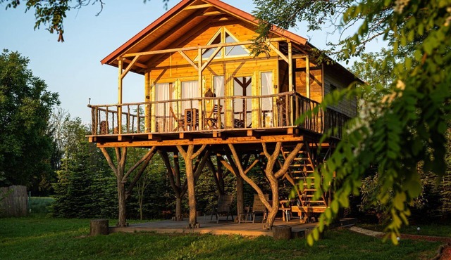 EHM Treehouse Chalet near Thermal Spa & Nature in Mesteri