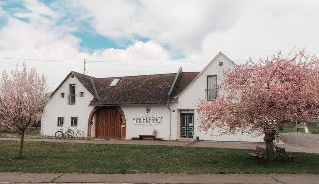 Four-manor house with 5 apartments in Doiber