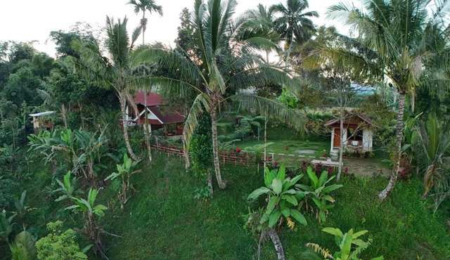 Greenday bungalows