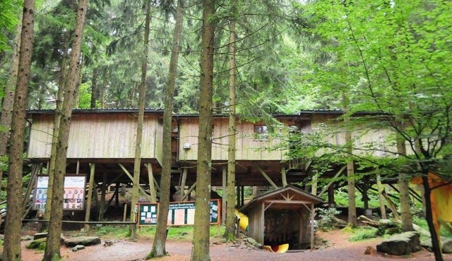 Gruppenbaumhaus - Baumhotel in Knechtelsdorf