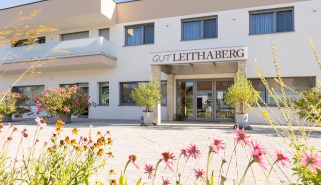 Gut Leithaberg in Jois