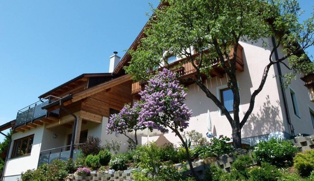 Hönegger, House - Apartment/2 bedrooms/shower, WC in Mariapfarr