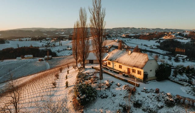 Holiday home for 7 guests with 235m² in Ratsch an der Weinstraße (174088) in Ratsch an der Weinstraße