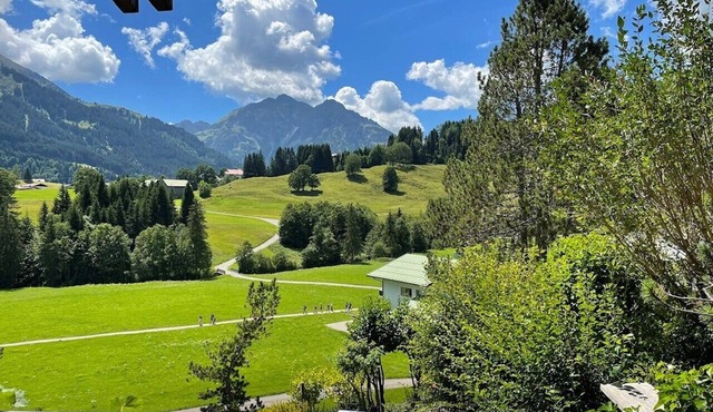 Holiday Apartment Gruppenferienwohnung am Auweg with Mountain View, Garden & Wi-Fi in Hirschegg